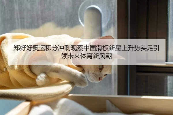 郑好好奥运积分冲刺观察中国滑板新星上升势头足引领未来体育新风潮