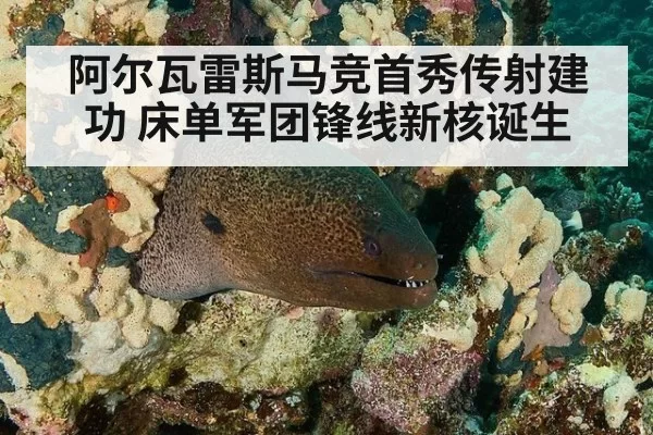 阿尔瓦雷斯马竞首秀传射建功 床单军团锋线新核诞生