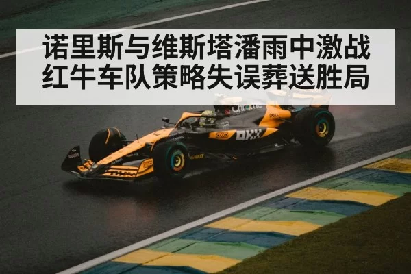 诺里斯与维斯塔潘雨中激战 红牛车队策略失误葬送胜局
